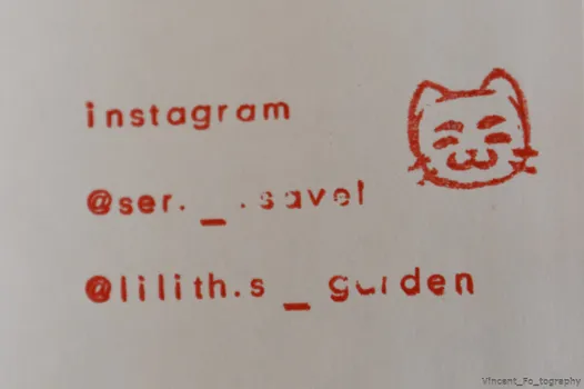 Copyright : Vincent Folliard